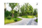 重庆江北区观市公共租赁门面最新招商招租动态音桥街道电话 江北区观音桥街道邮编是多少 